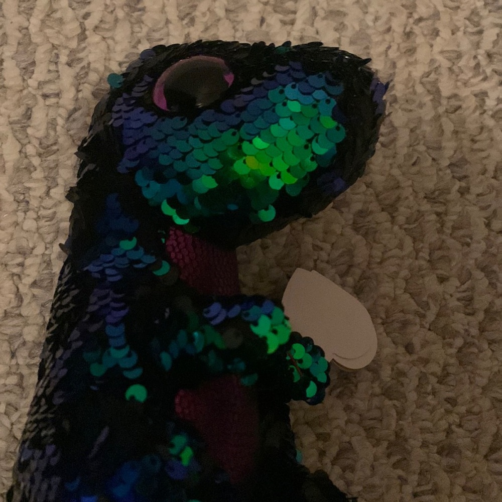 Crunch Reversible Sequence Beenie Boo